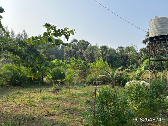 Palghar Adhira Beach Camping by Nusta Fir photo 6