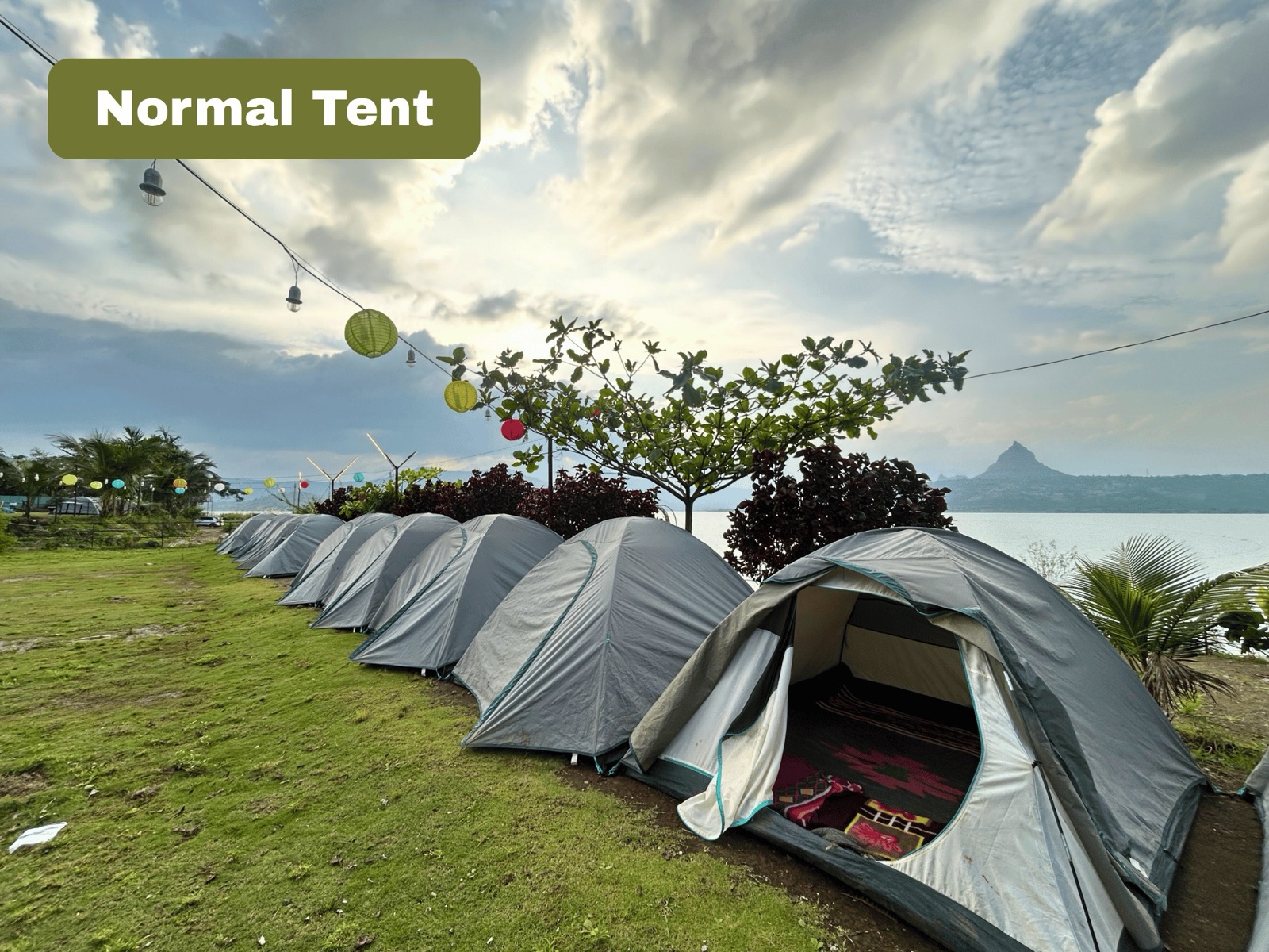 NORMAL TENT
